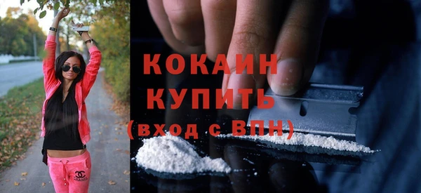 шишки Абинск