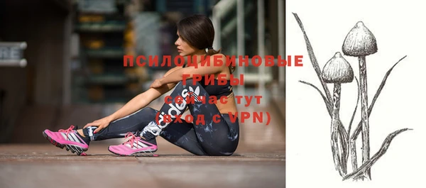 шишки Абинск