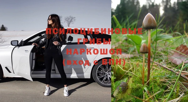 шишки Абинск