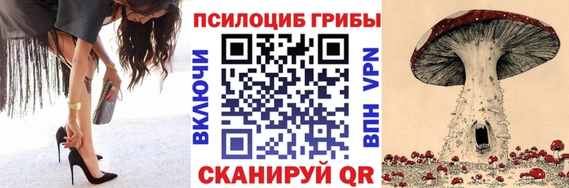 Галлюциногенные грибы Magic Shrooms  закладки  Алапаевск 